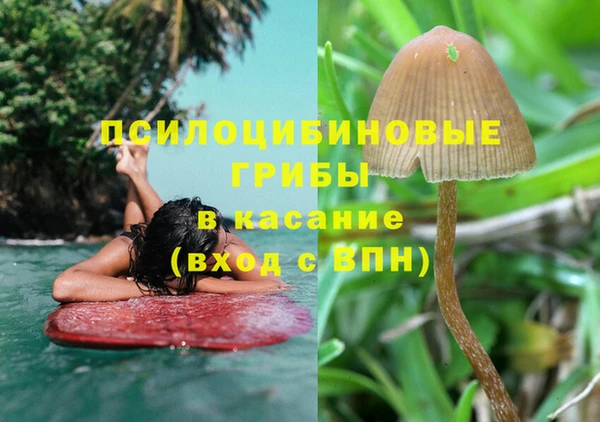 первитин Лабытнанги
