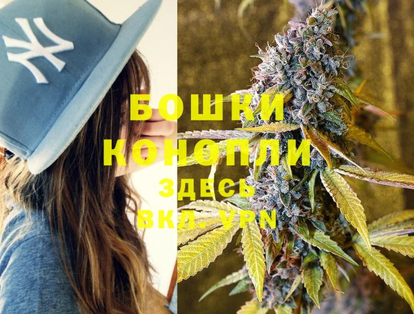 гашик Кулебаки