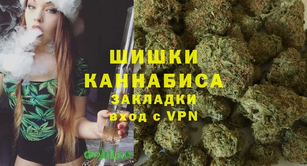 первитин Лабытнанги